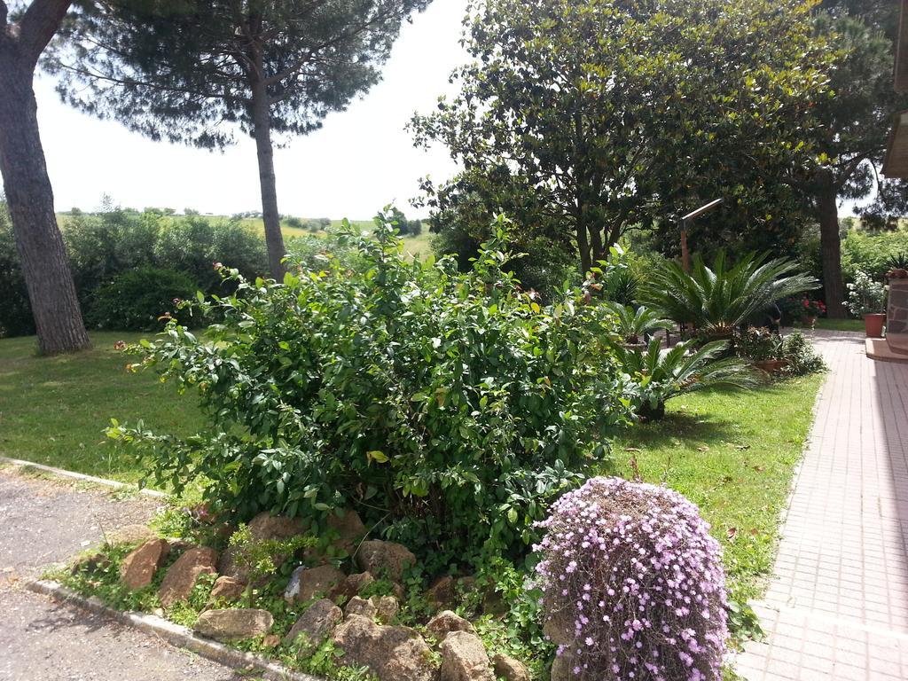 La Finestra Sul Cortile Bed & Breakfast Pomezia Ngoại thất bức ảnh
