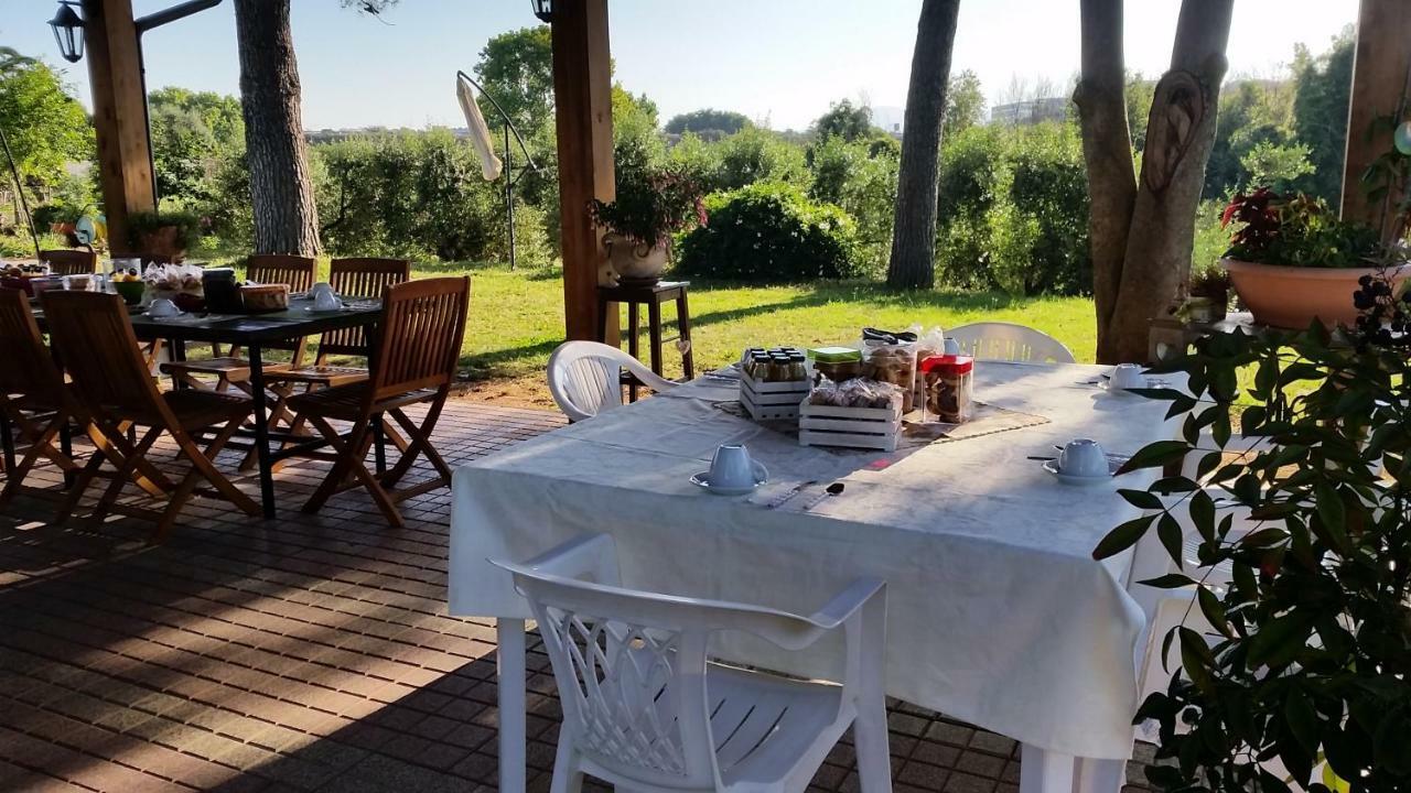 La Finestra Sul Cortile Bed & Breakfast Pomezia Ngoại thất bức ảnh